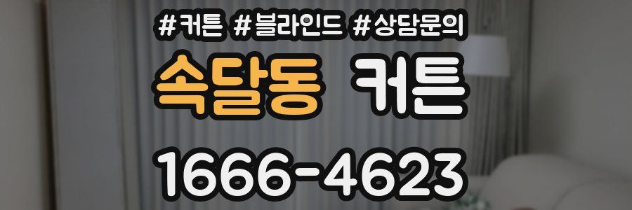 속달동 커튼