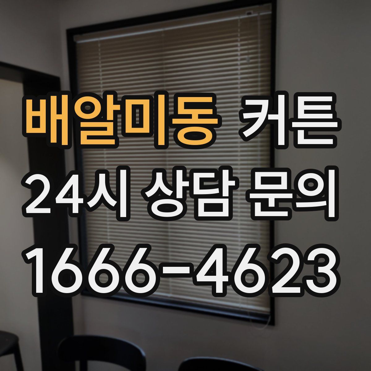 배알미동 커튼