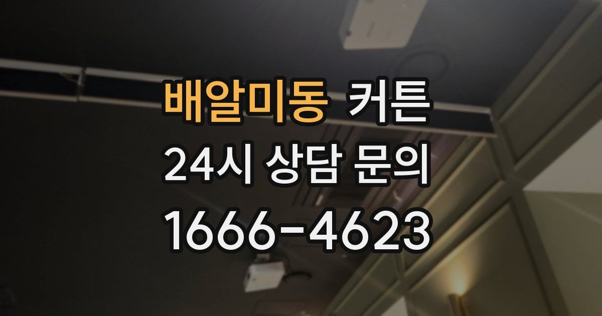 배알미동 커튼