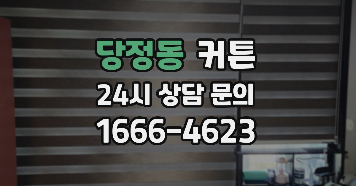 당정동 커튼