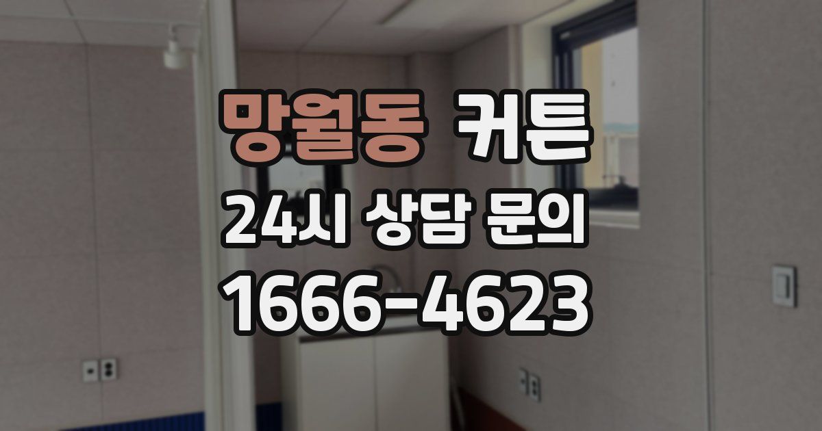 망월동 커튼