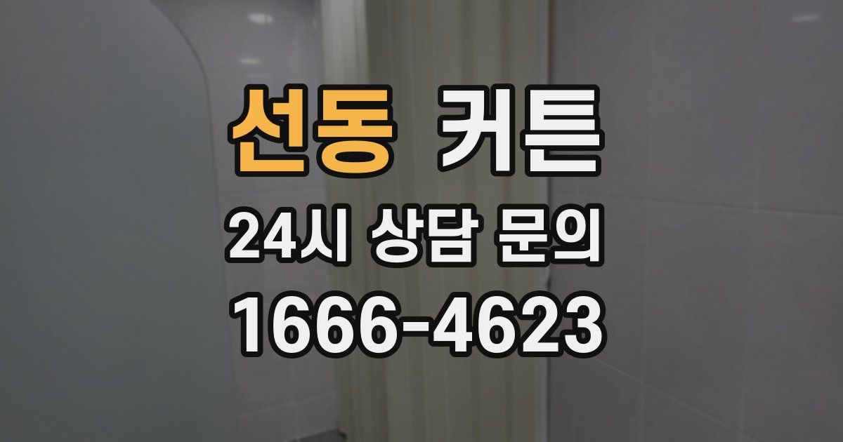 선동 커튼