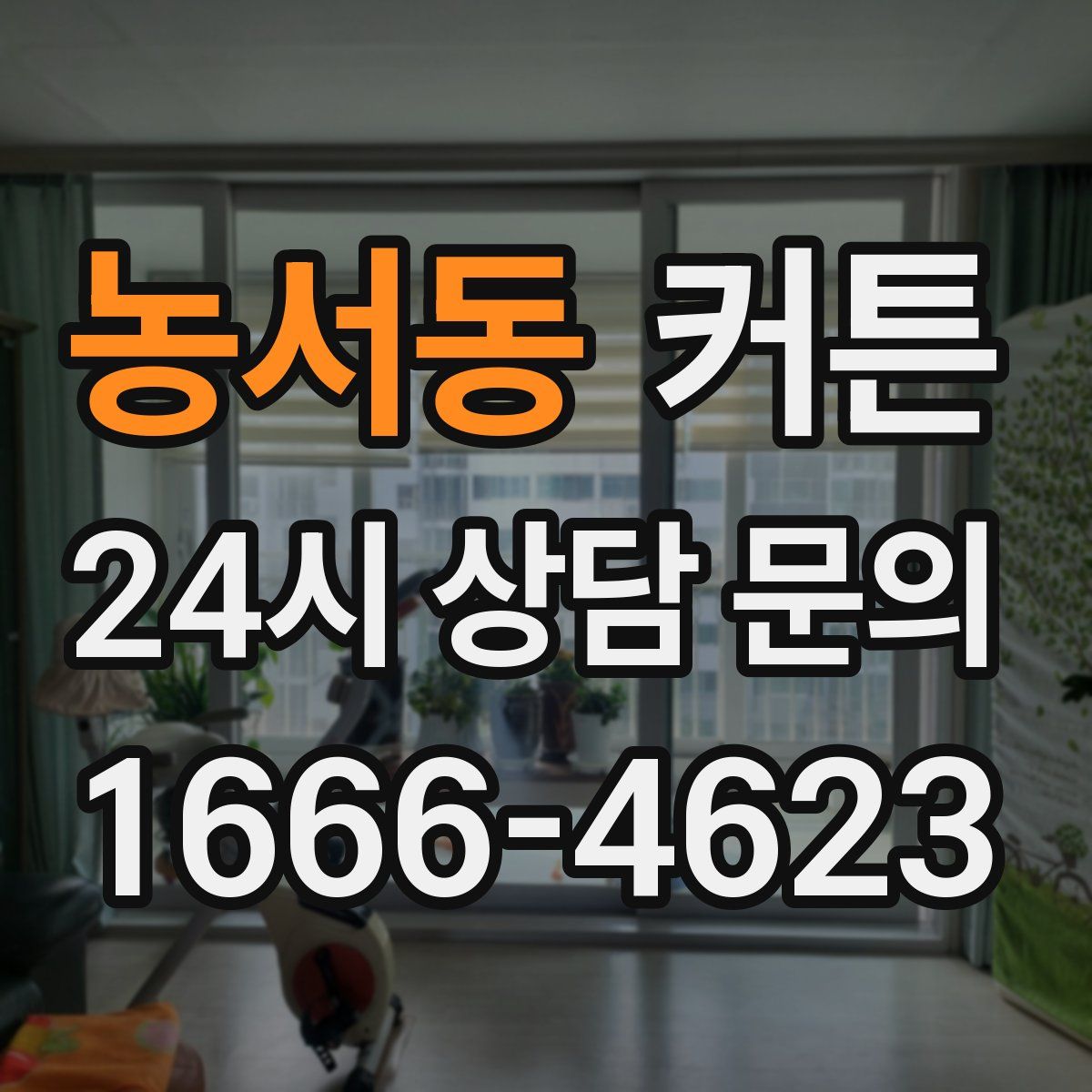 농서동 커튼