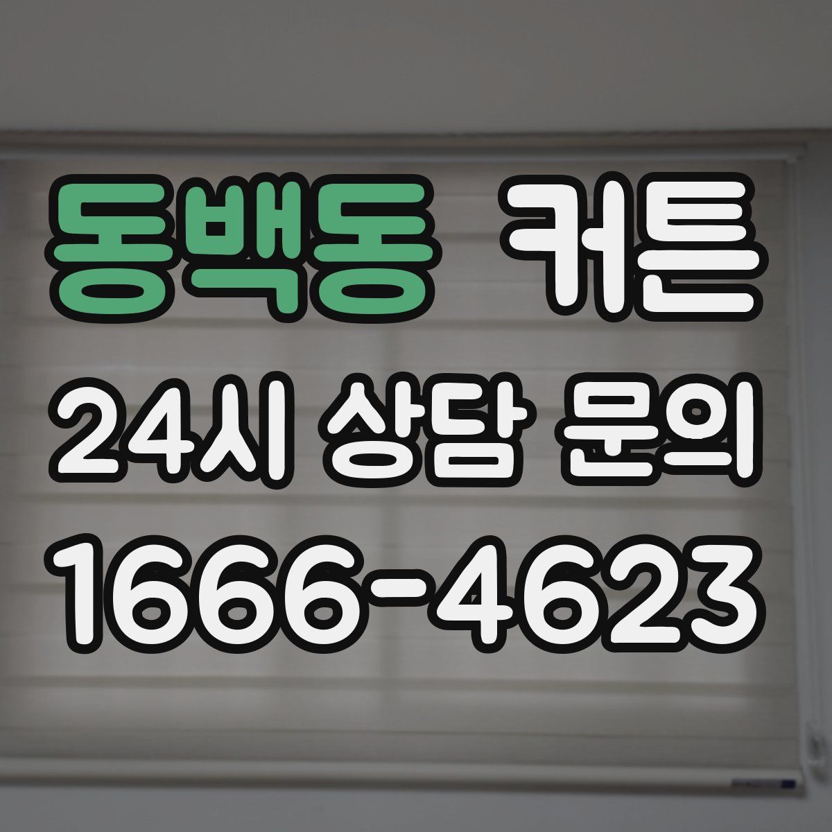 동백동 커튼