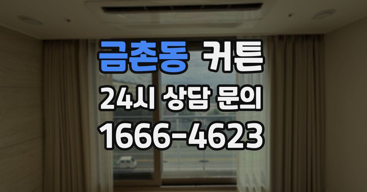 금촌동 커튼