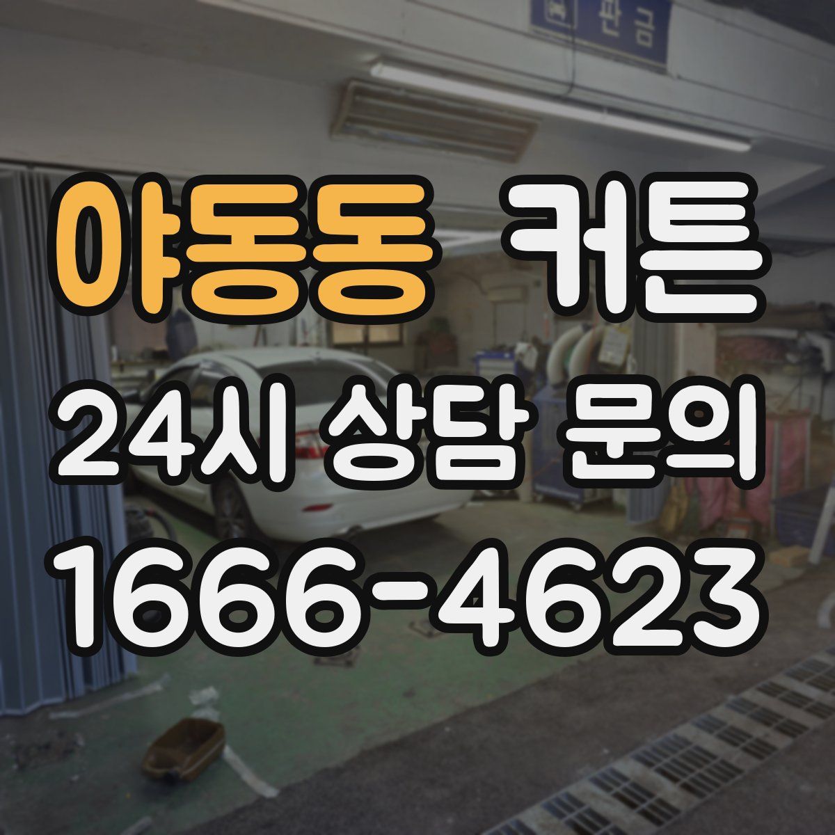 야동동 커튼