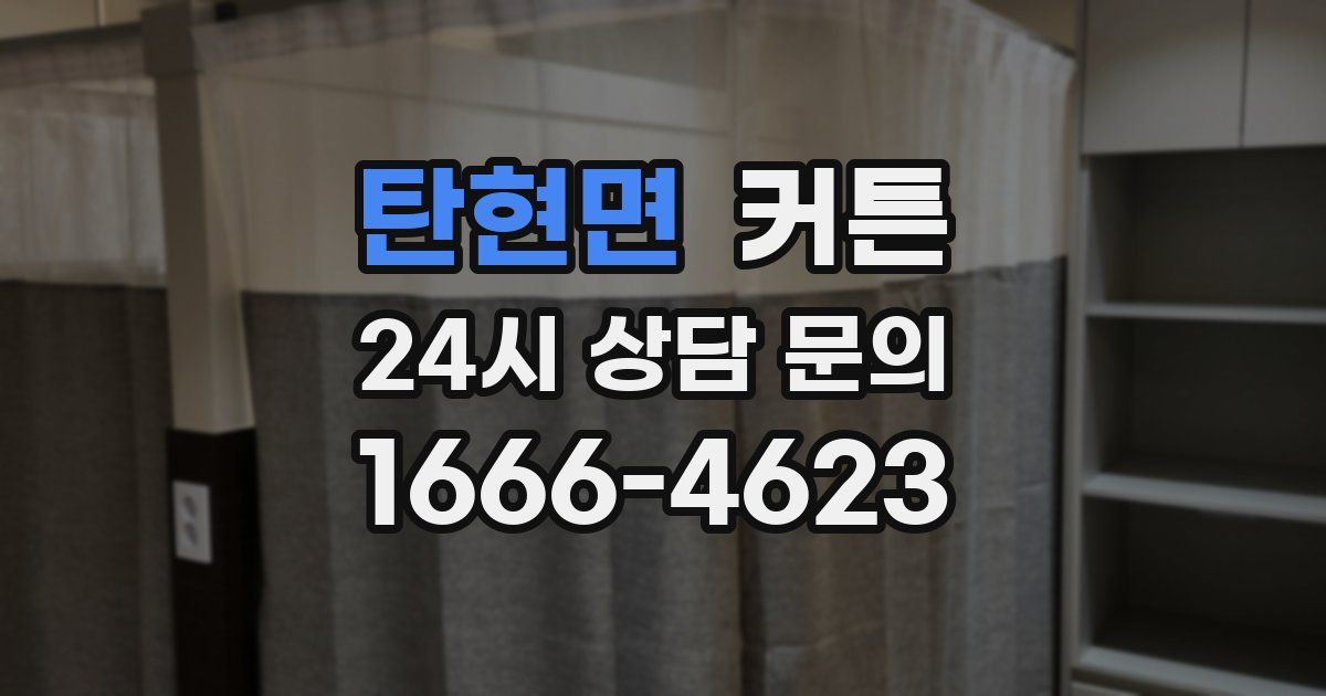 탄현면 커튼