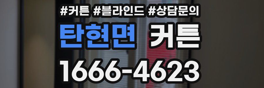 탄현면 커튼