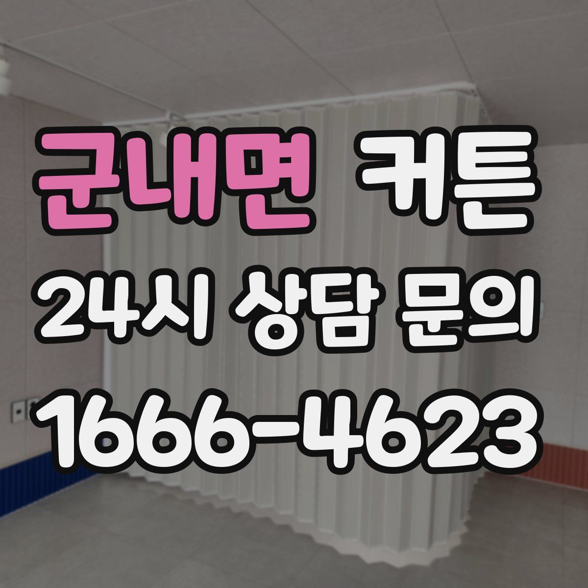 군내면 커튼