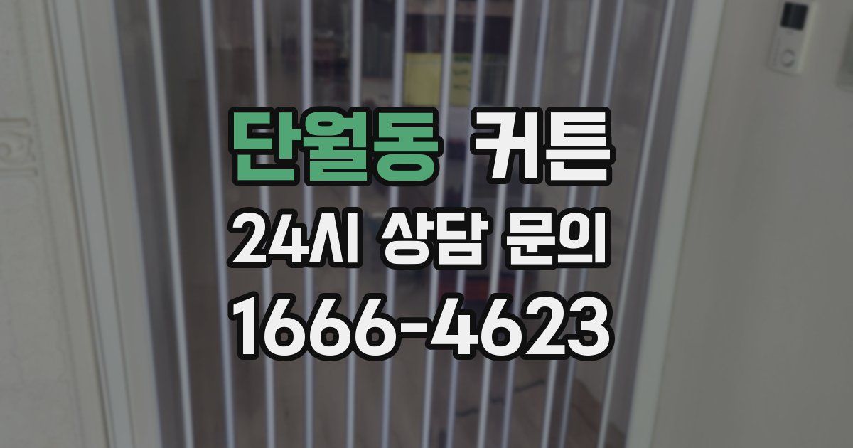 단월동 커튼