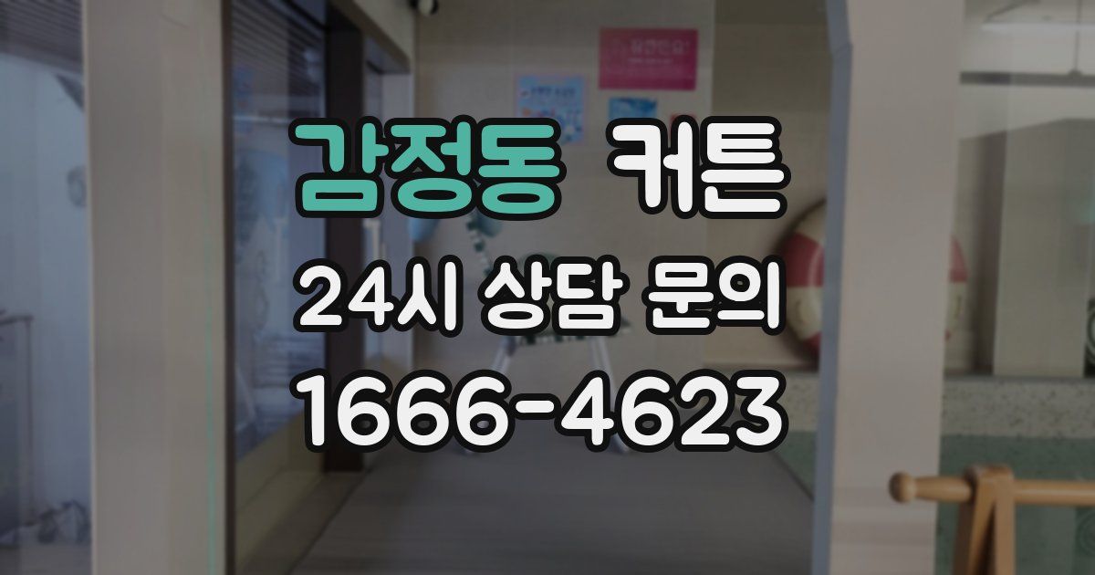 감정동 커튼
