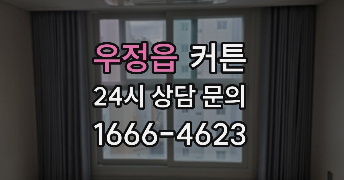 우정읍 커튼