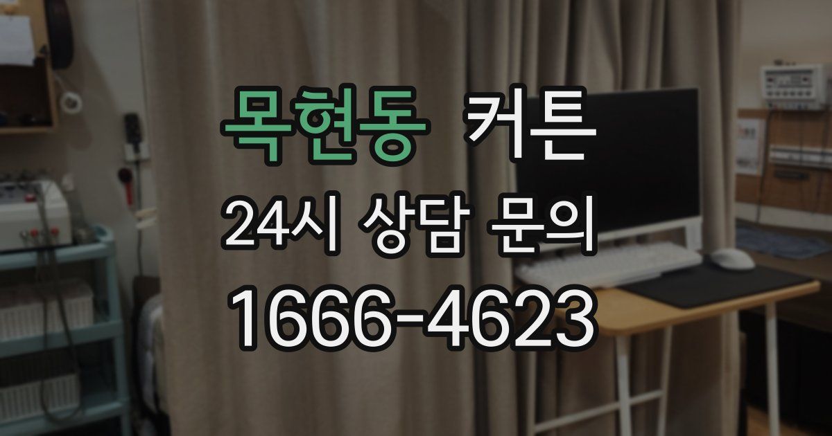 목현동 커튼