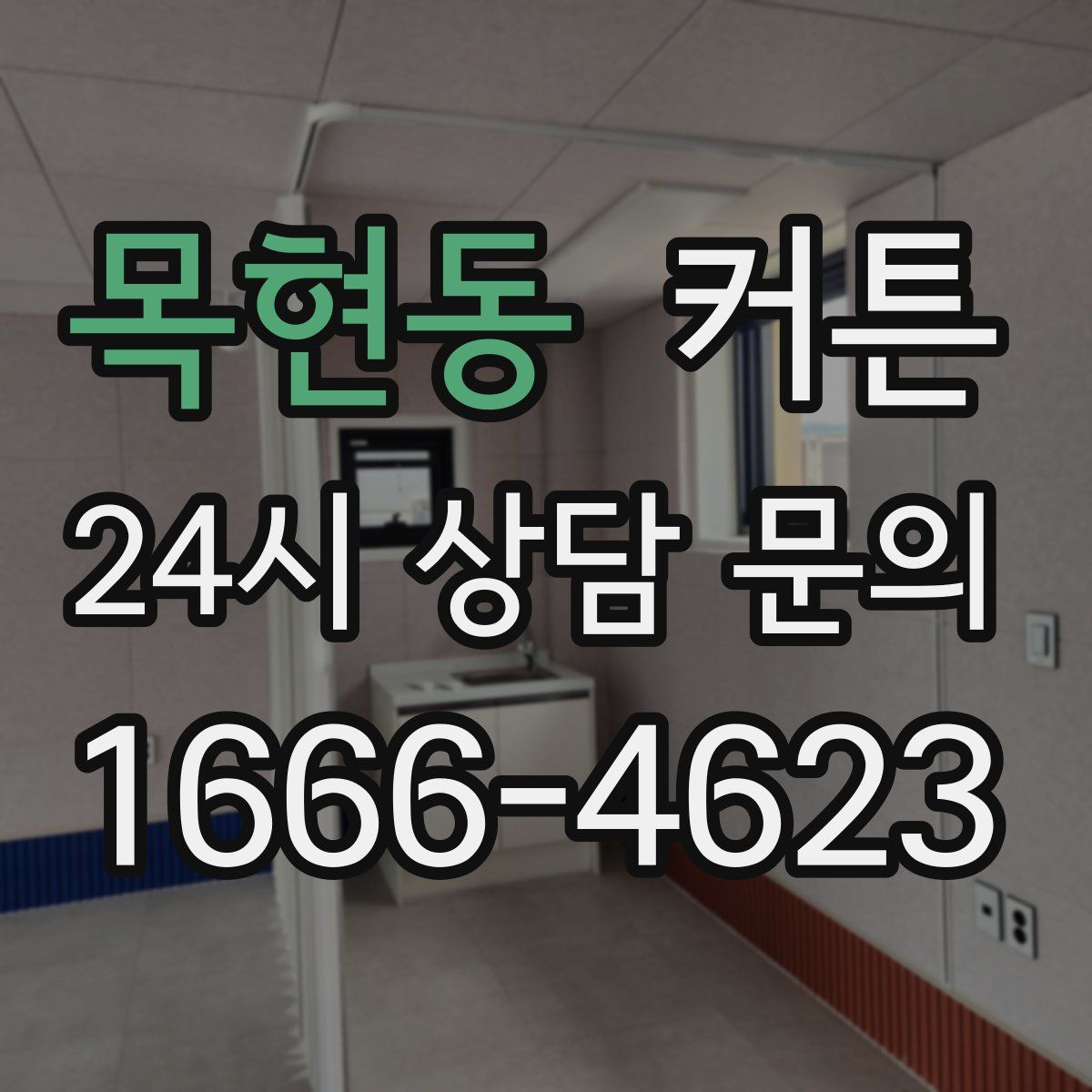 목현동 커튼