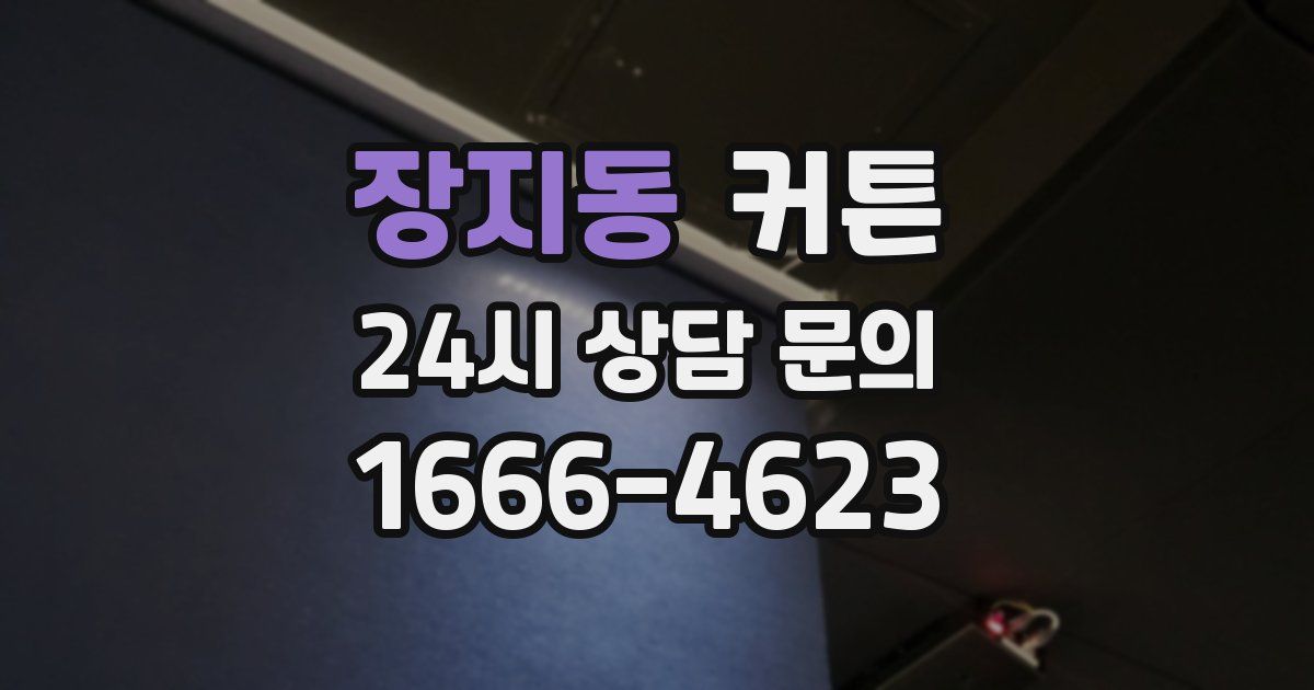 장지동 커튼