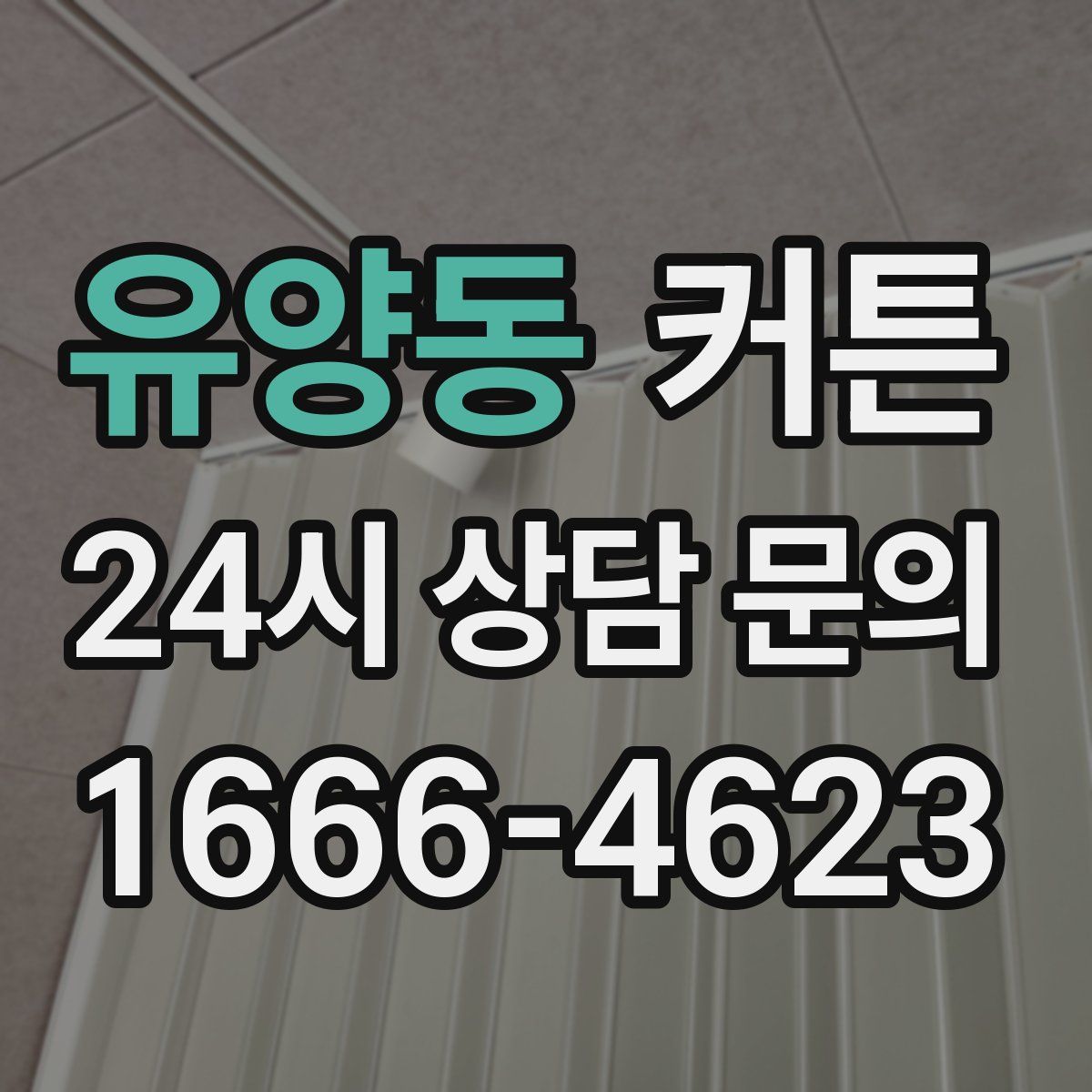 유양동 커튼
