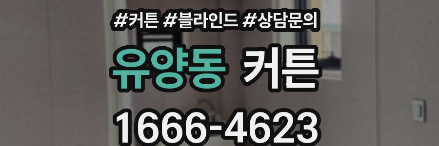 유양동 커튼