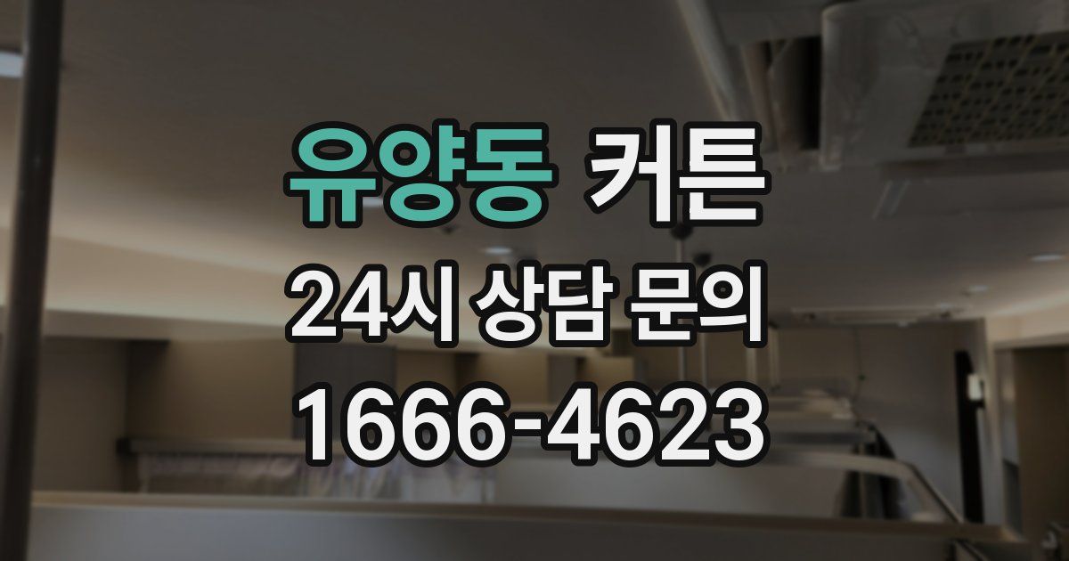 유양동 커튼