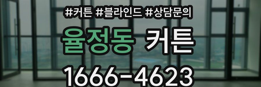 율정동 커튼