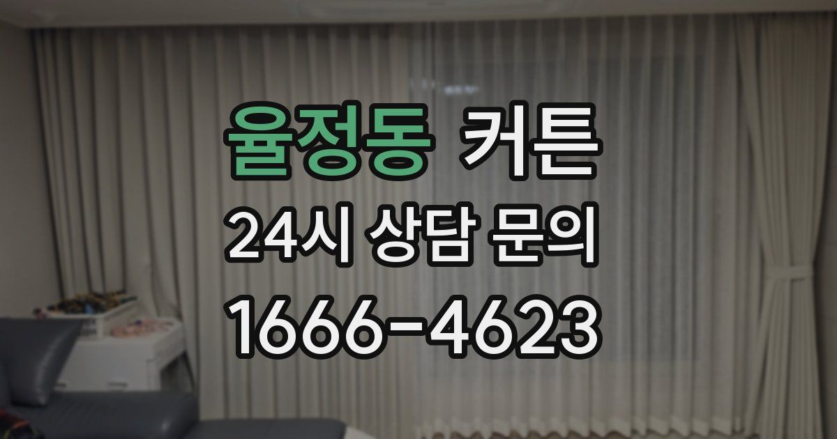 율정동 커튼