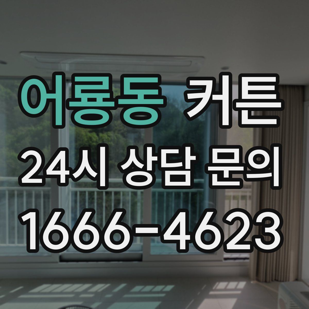 어룡동 커튼