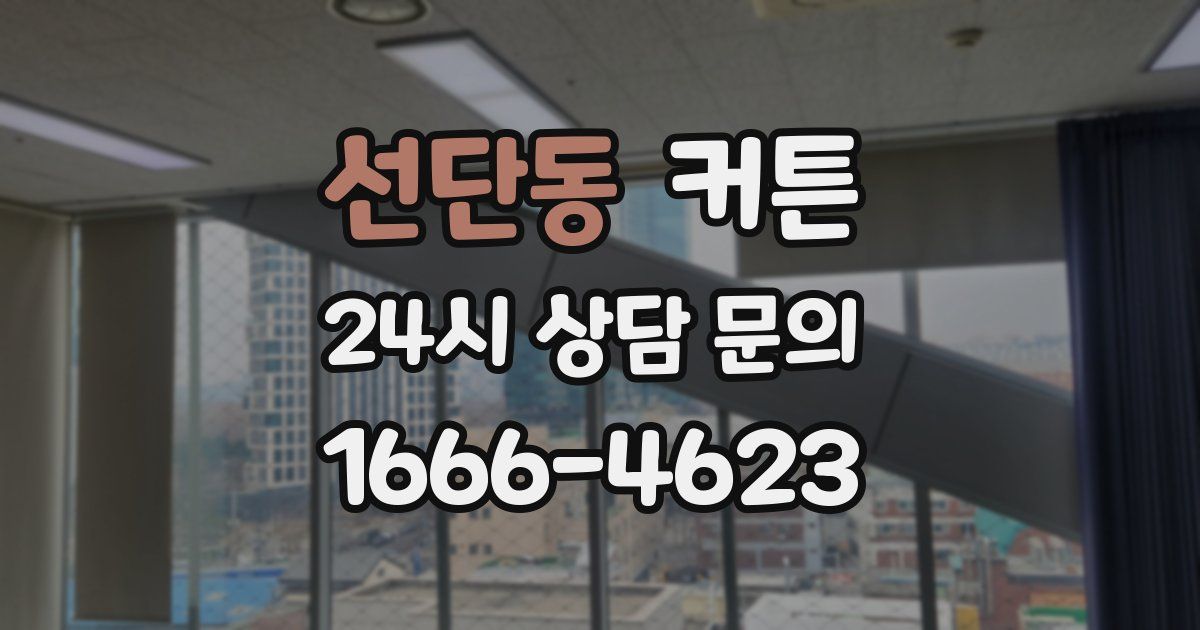 선단동 커튼