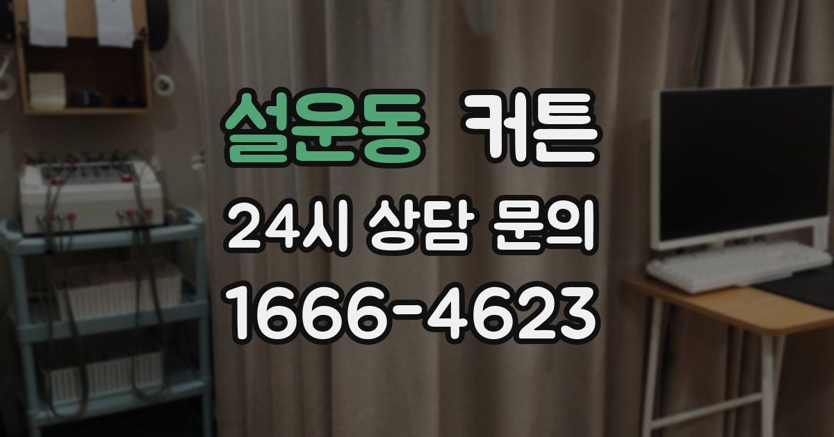 설운동 커튼