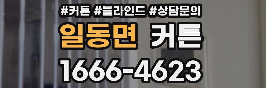 일동면 커튼