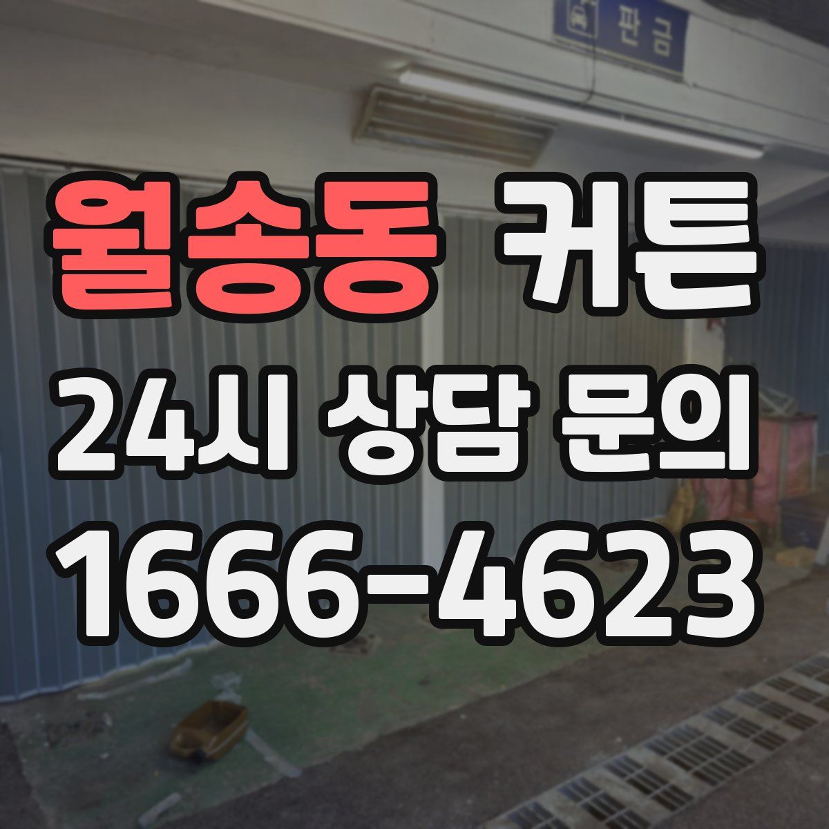 월송동 커튼