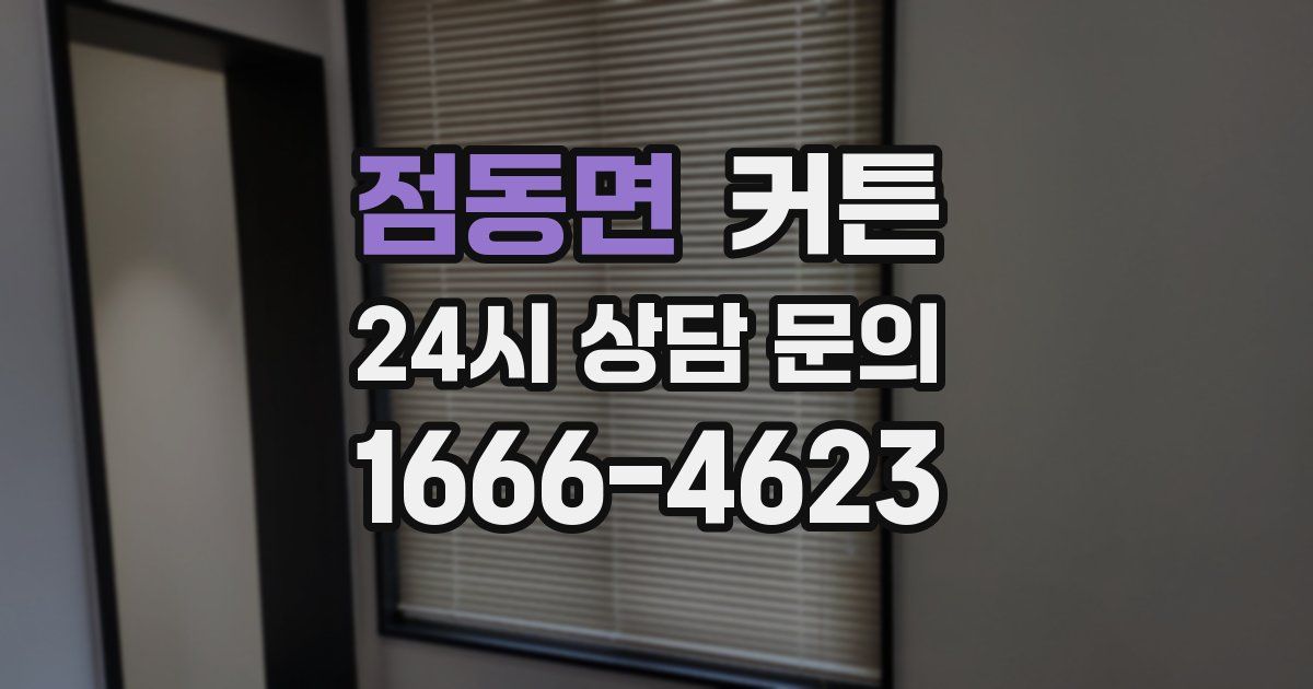 점동면 커튼