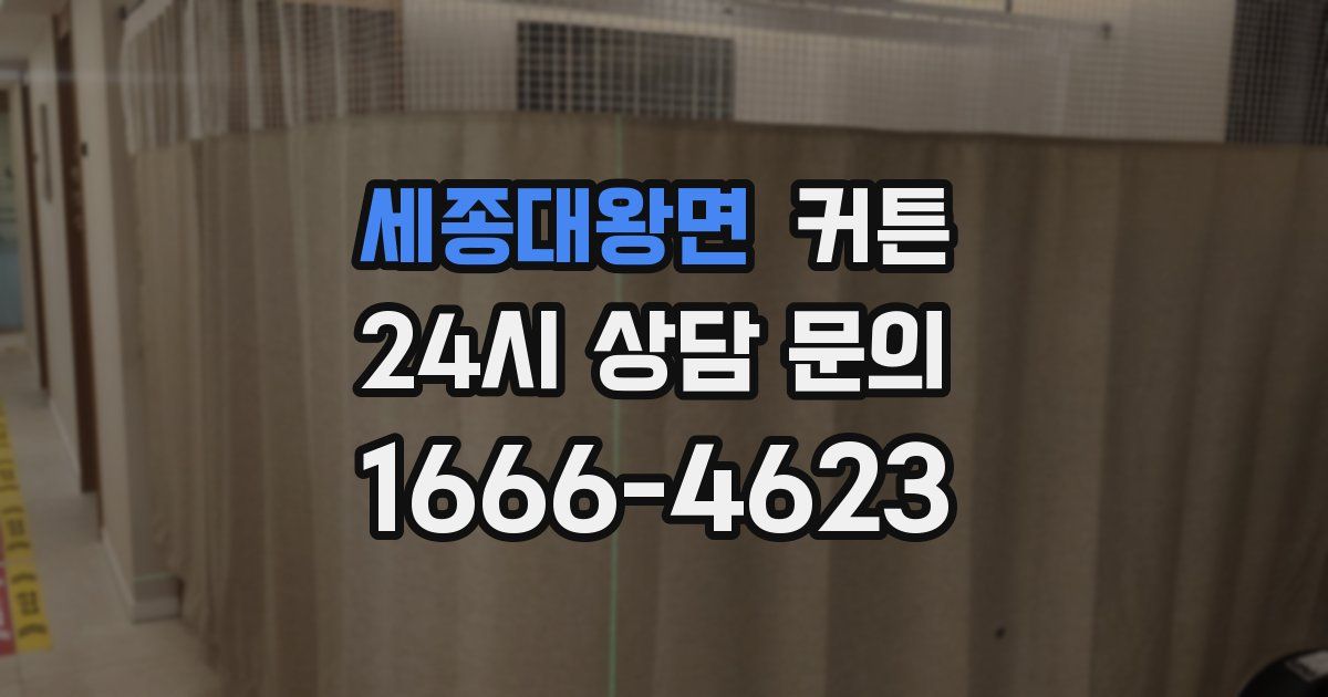 세종대왕면 커튼