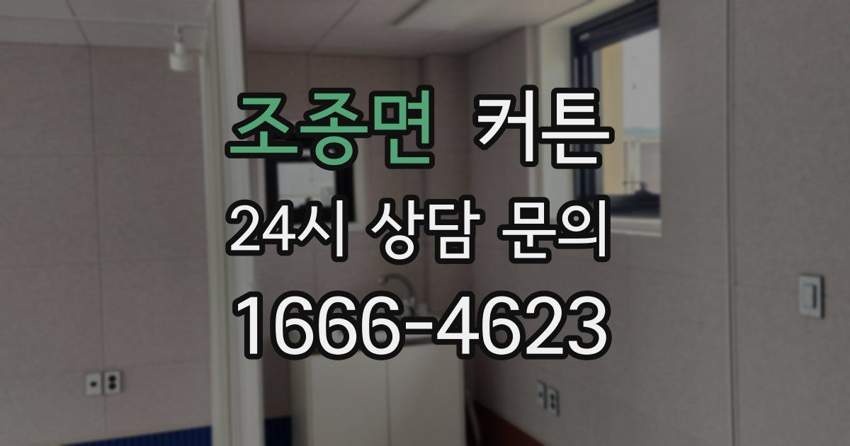 조종면 커튼