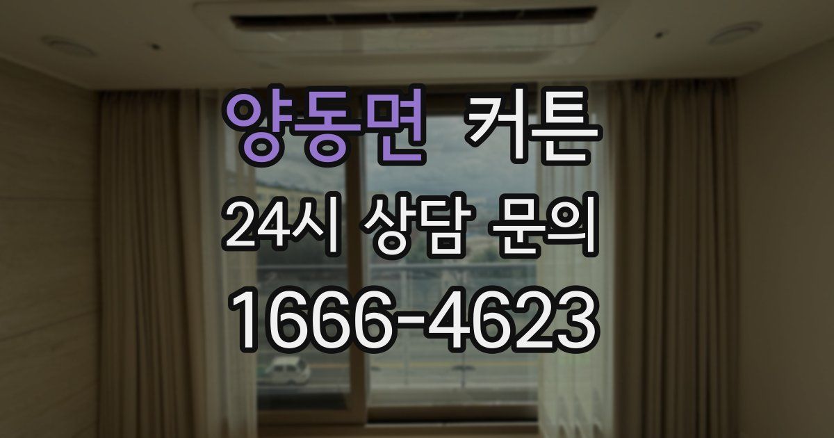 양동면 커튼
