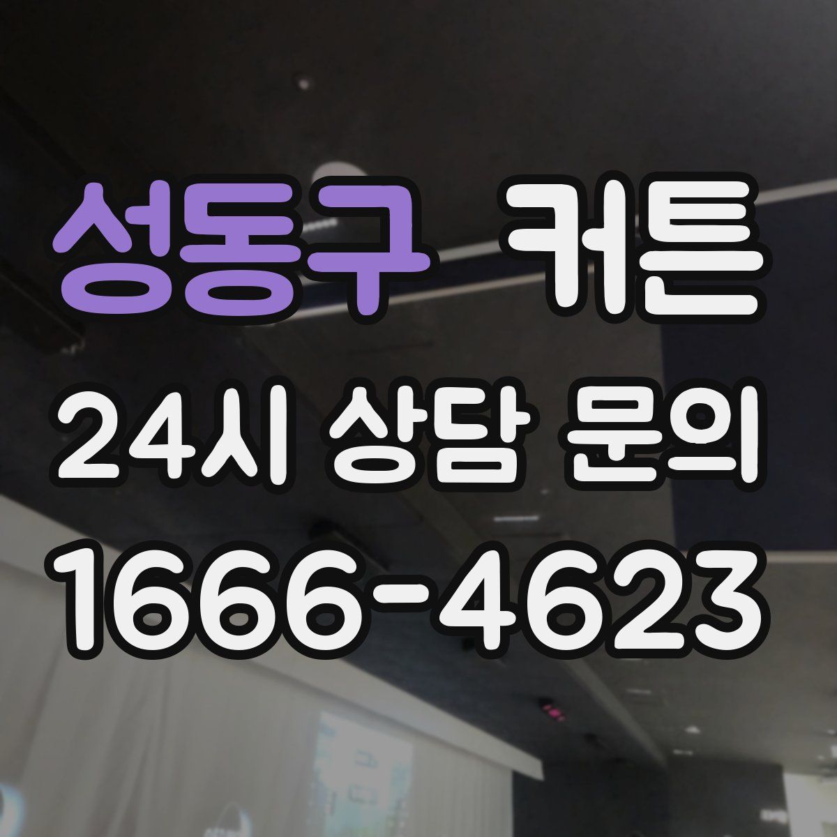 성동구 커튼