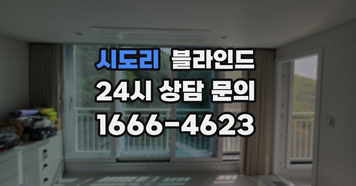 시도리 블라인드