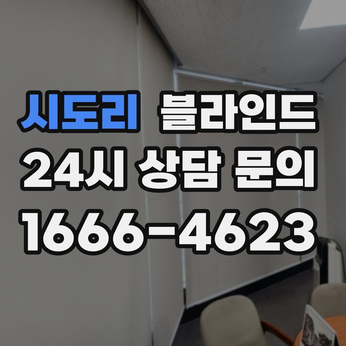 시도리 블라인드