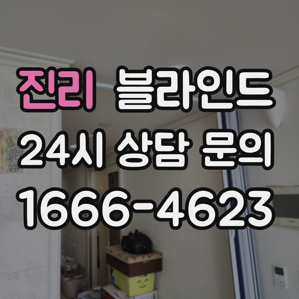 진리 블라인드