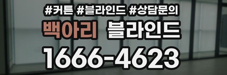 백아리 블라인드