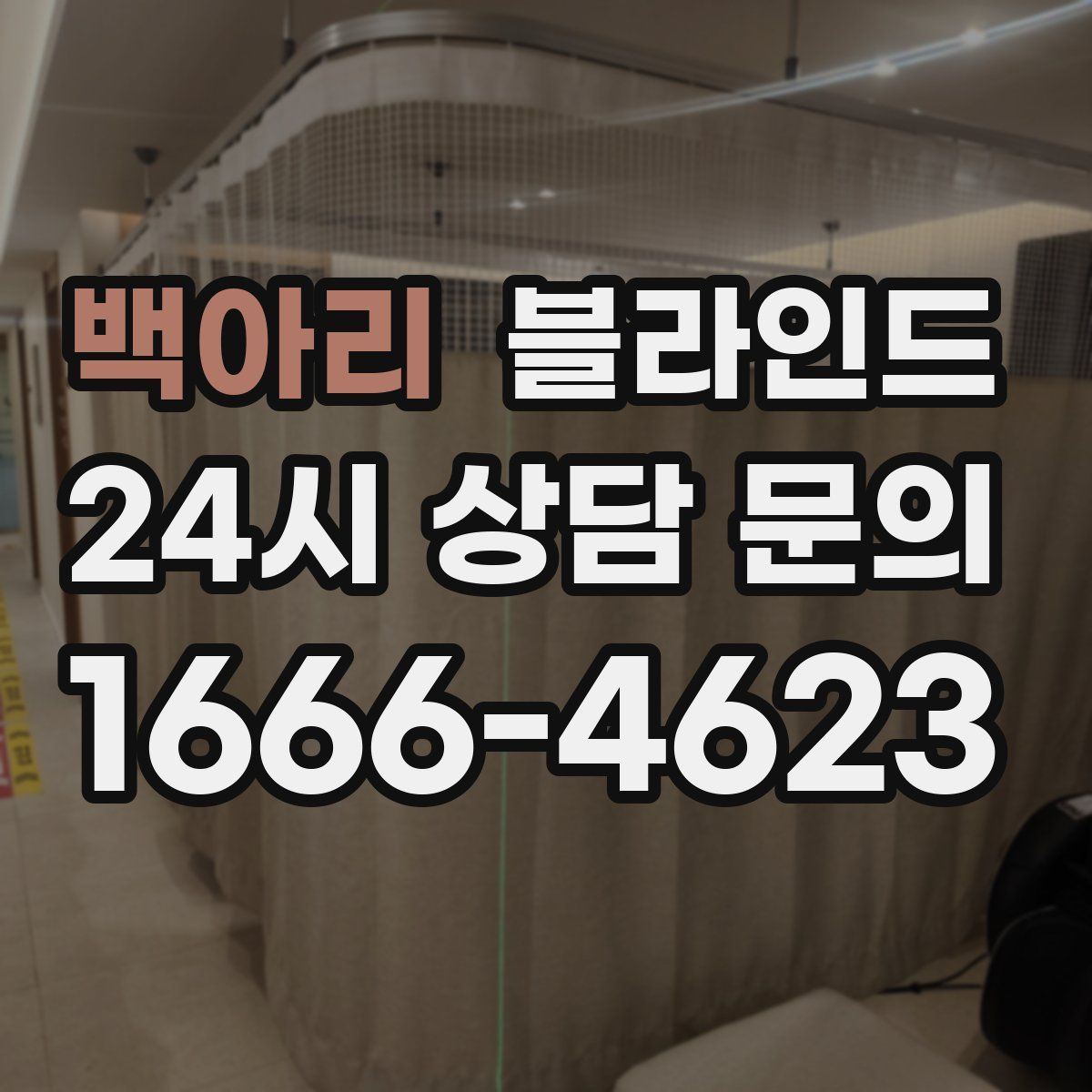 백아리 블라인드