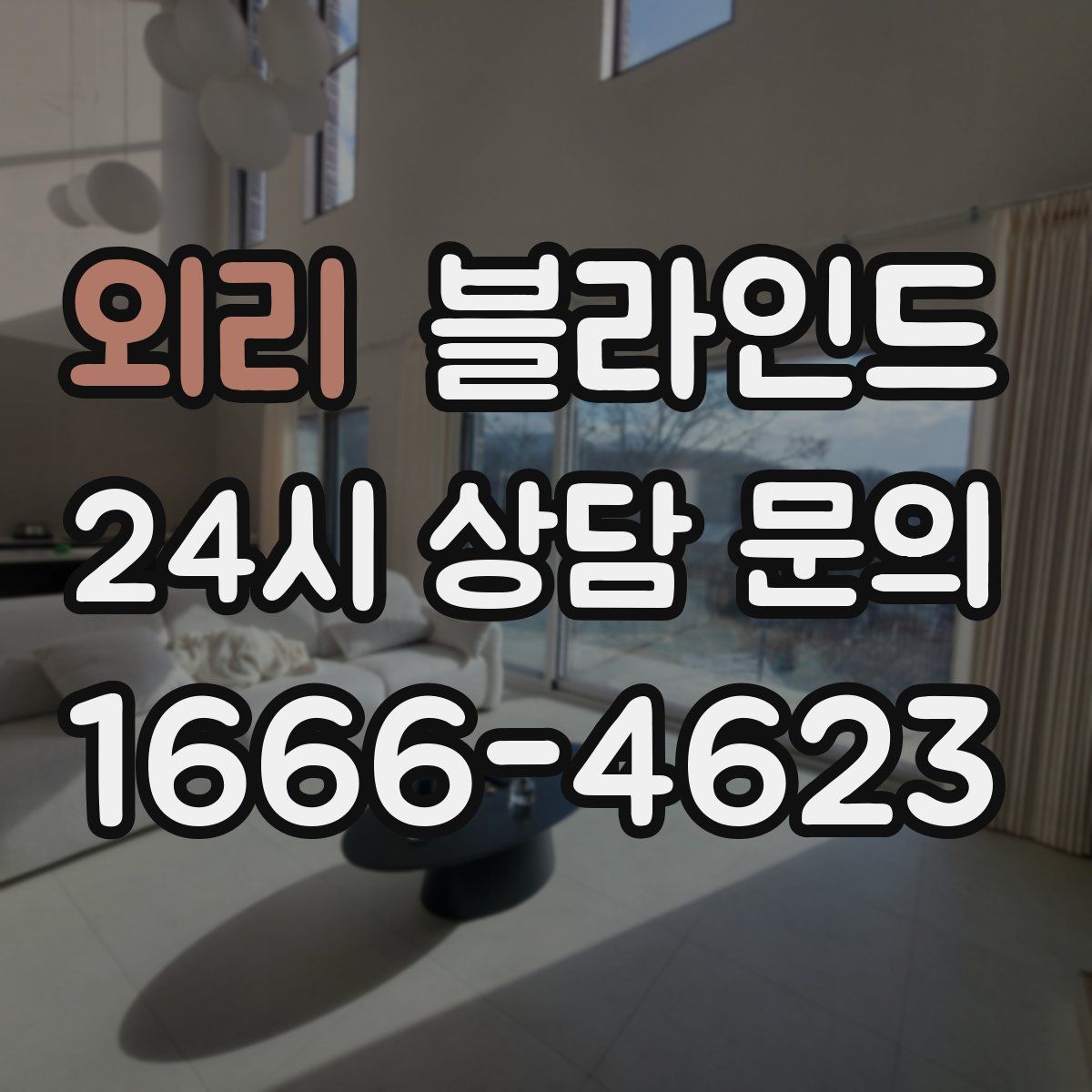 외리 블라인드