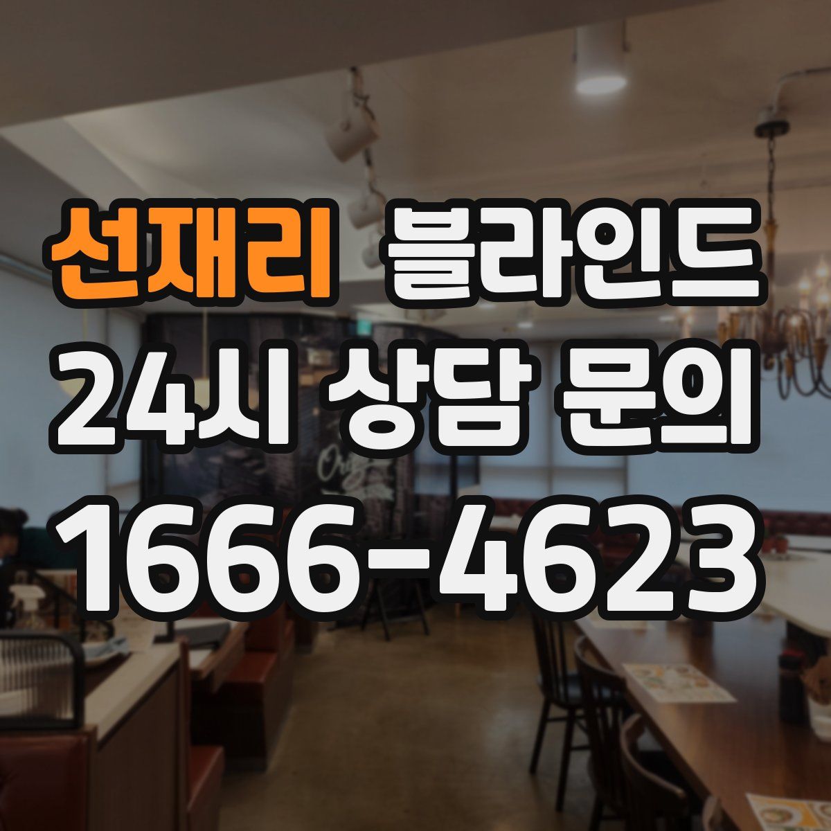 선재리 블라인드