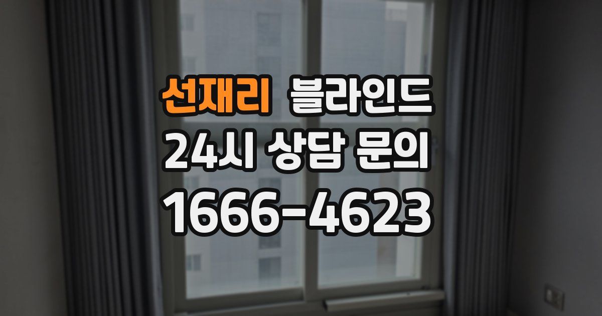 선재리 블라인드