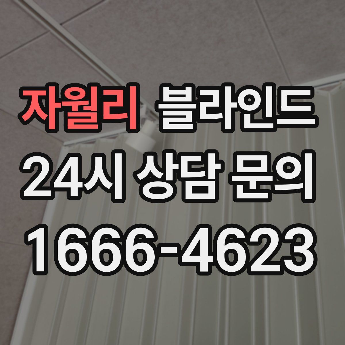 자월리 블라인드