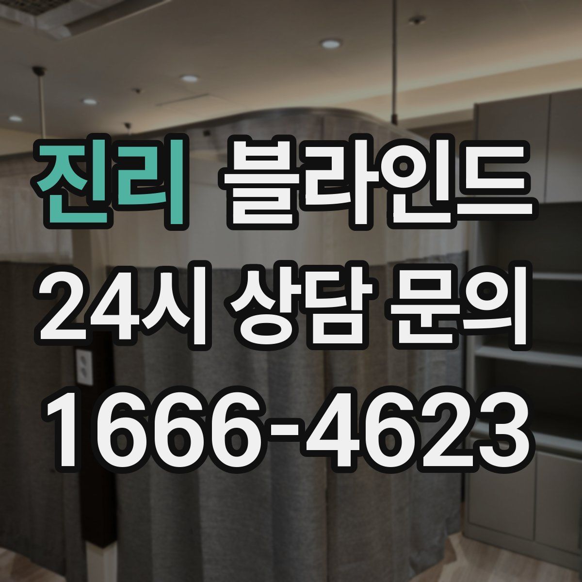 진리 블라인드