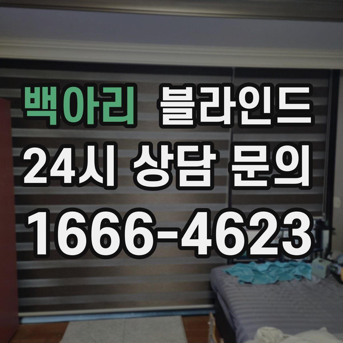 백아리 블라인드