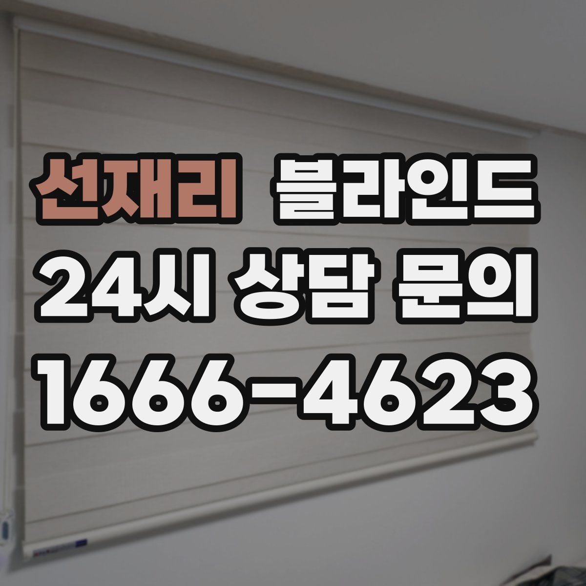 선재리 블라인드