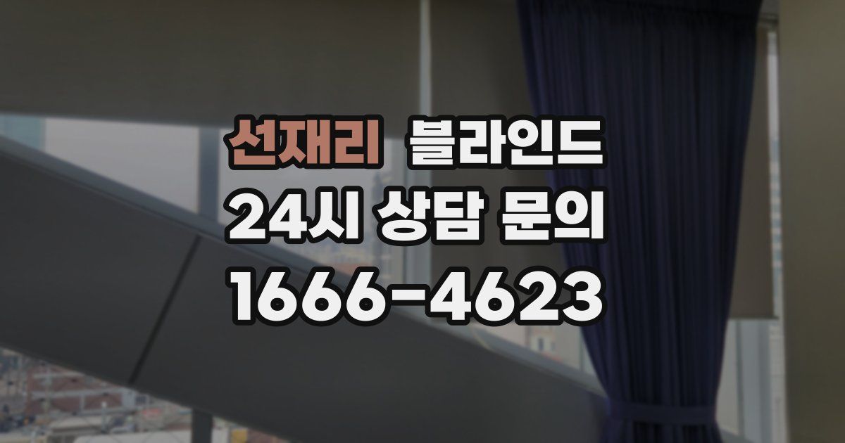 선재리 블라인드