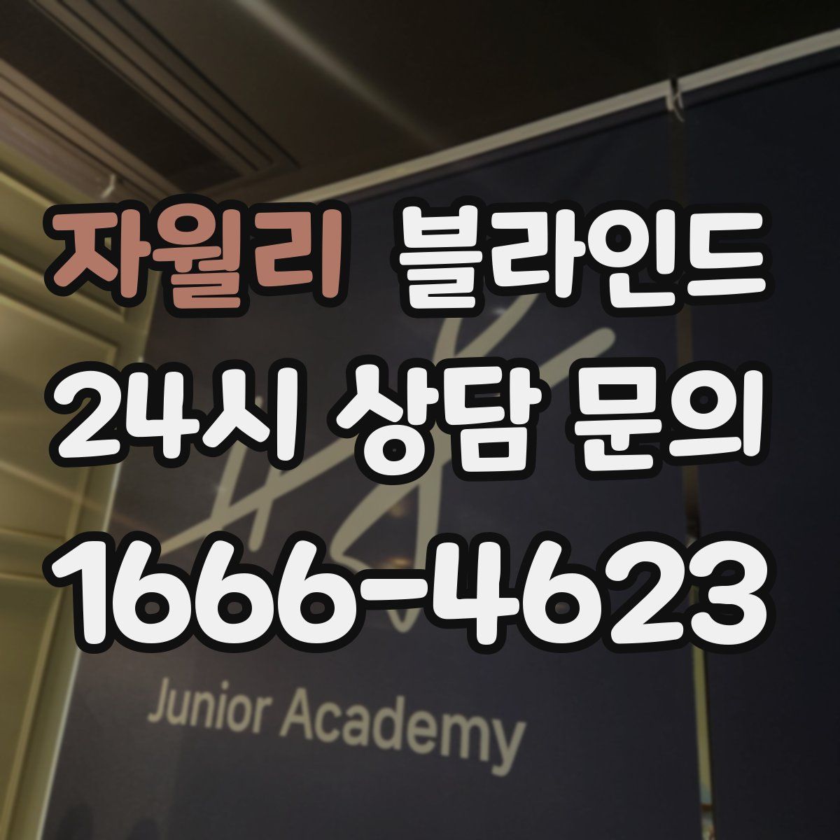 자월리 블라인드