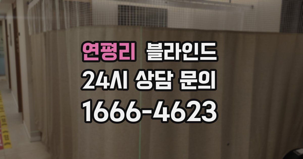 연평리 블라인드