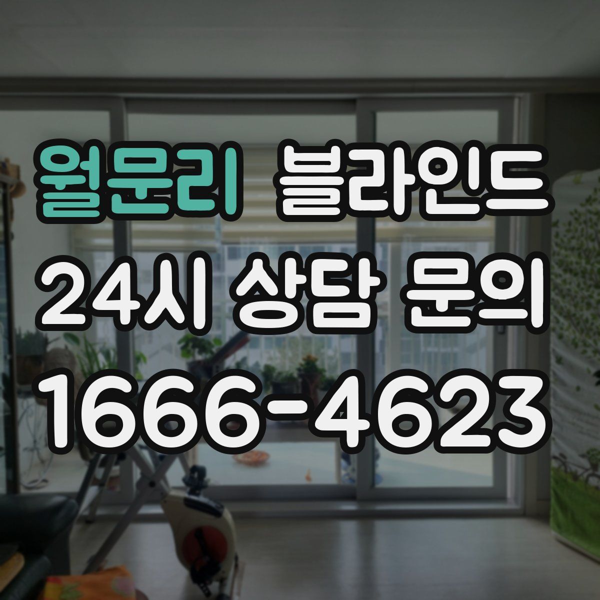 월문리 블라인드